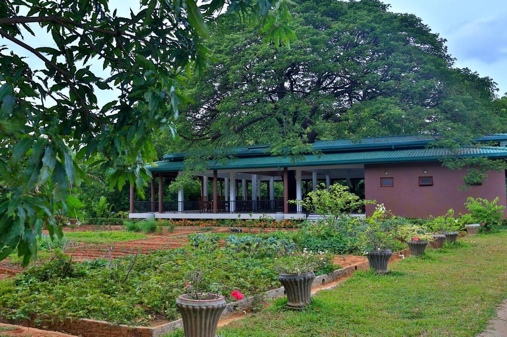Grand & Gangula Hotel Dambulla Bagian luar foto