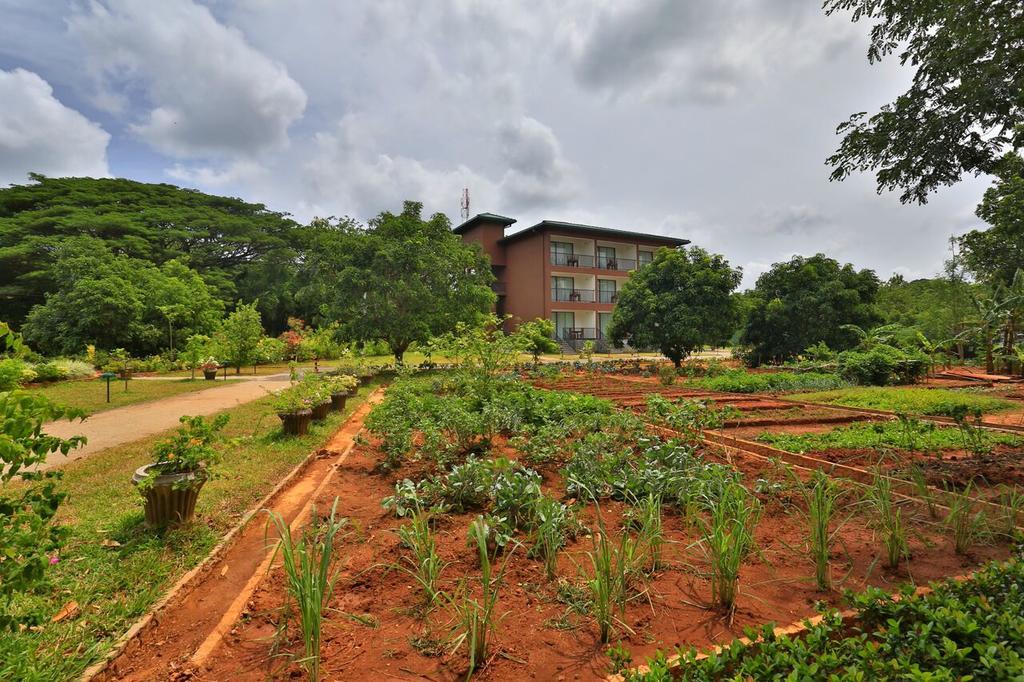 Grand & Gangula Hotel Dambulla Bagian luar foto