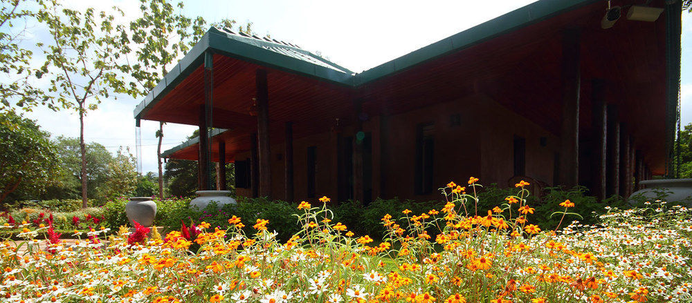 Grand & Gangula Hotel Dambulla Bagian luar foto