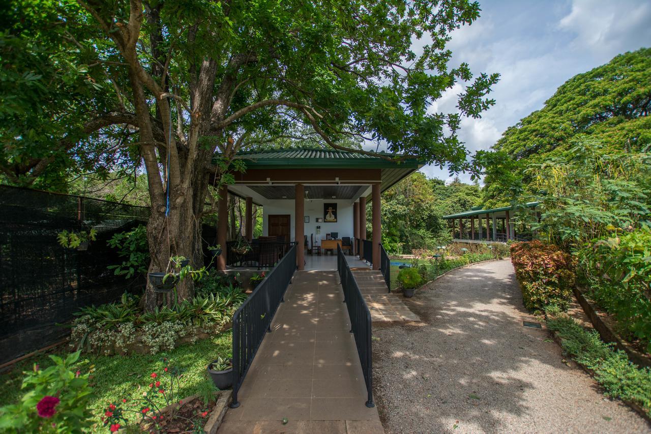 Grand & Gangula Hotel Dambulla Bagian luar foto