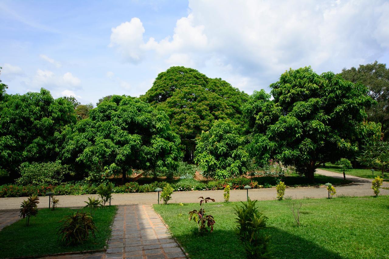 Grand & Gangula Hotel Dambulla Bagian luar foto