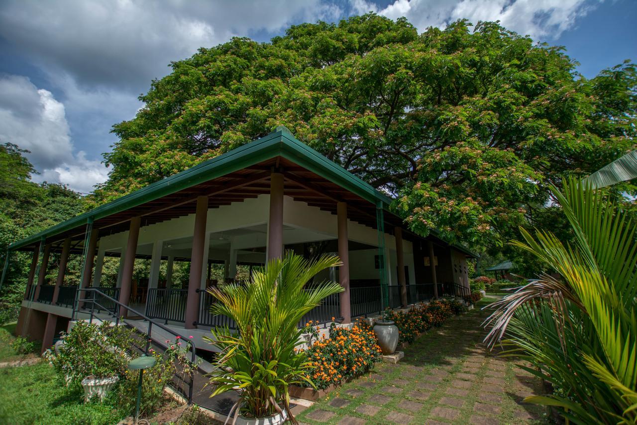 Grand & Gangula Hotel Dambulla Bagian luar foto