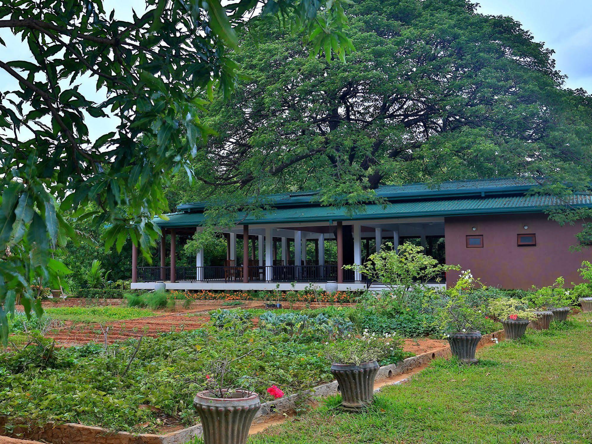 Grand & Gangula Hotel Dambulla Bagian luar foto
