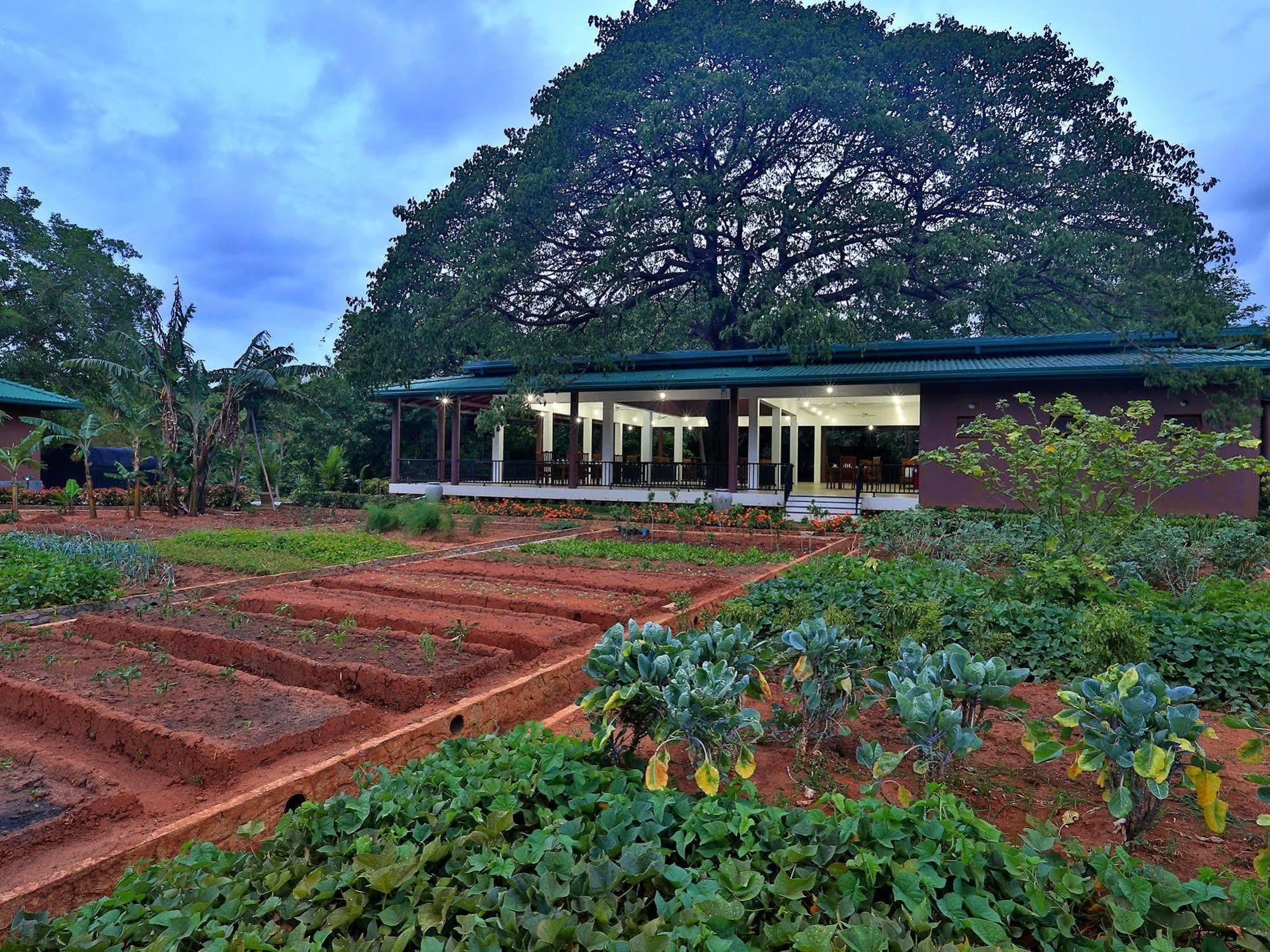 Grand & Gangula Hotel Dambulla Bagian luar foto