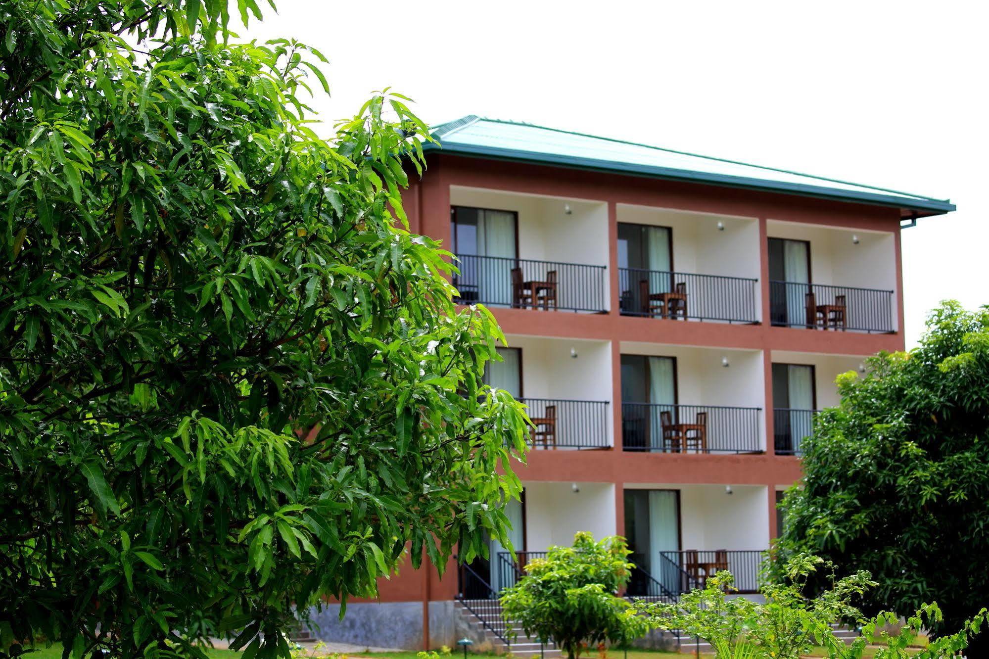 Grand & Gangula Hotel Dambulla Bagian luar foto