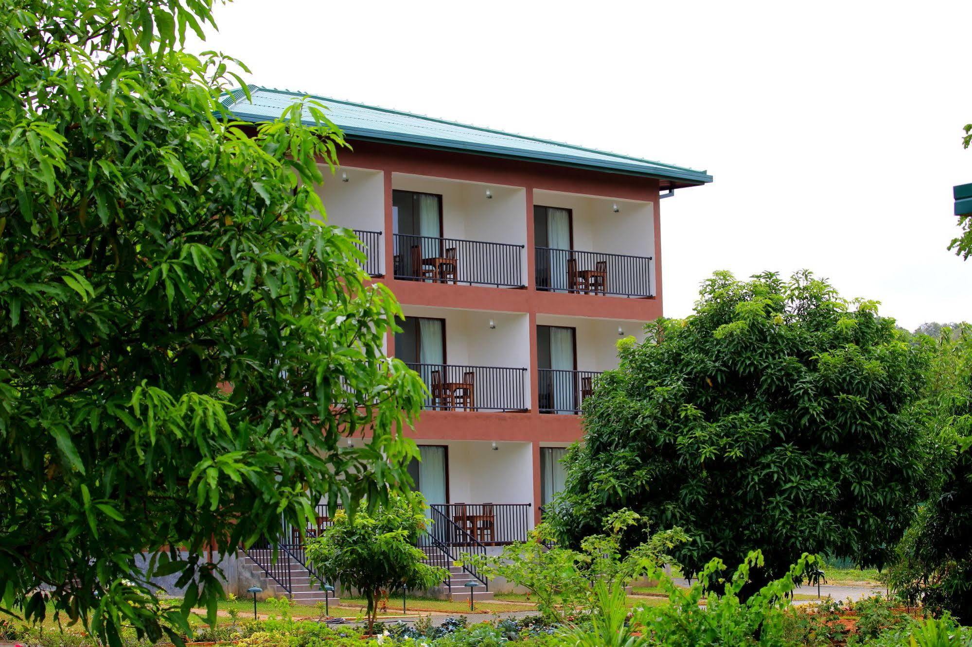 Grand & Gangula Hotel Dambulla Bagian luar foto