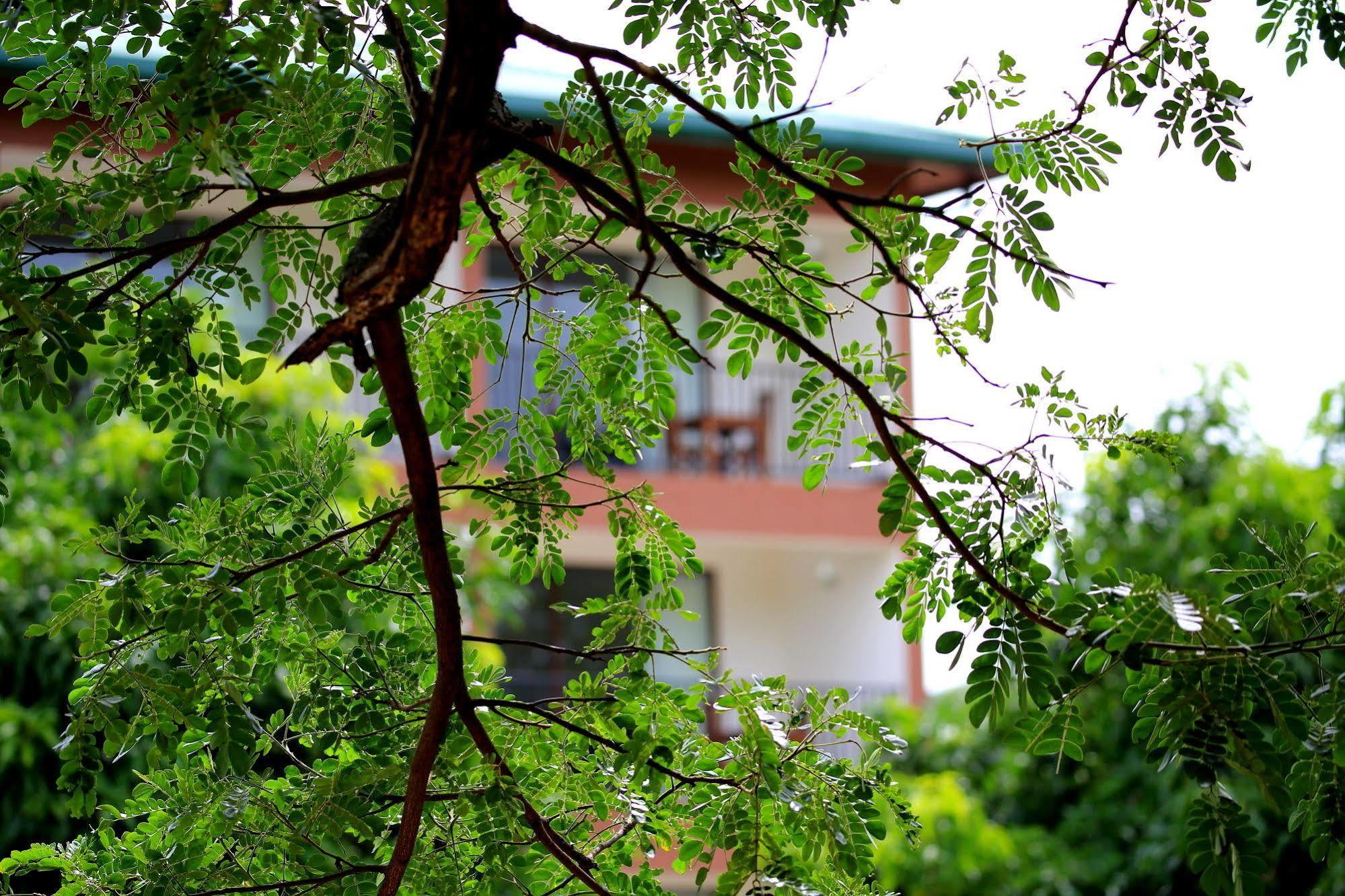 Grand & Gangula Hotel Dambulla Bagian luar foto